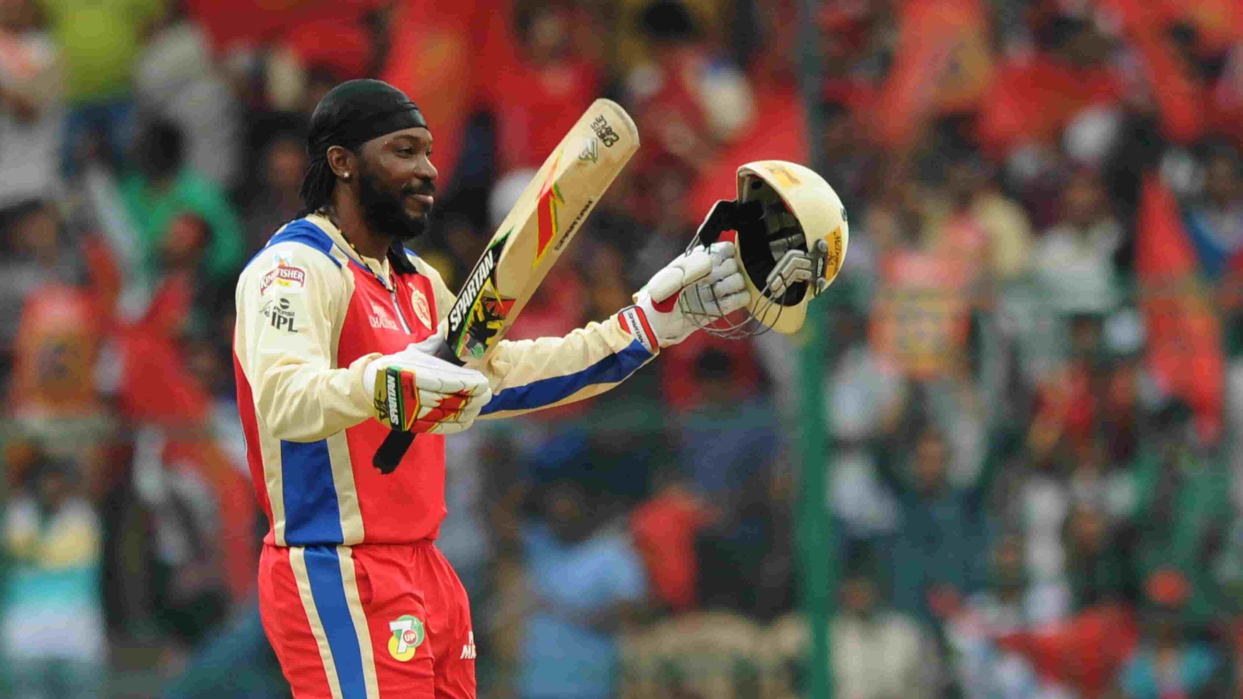  Gayle 